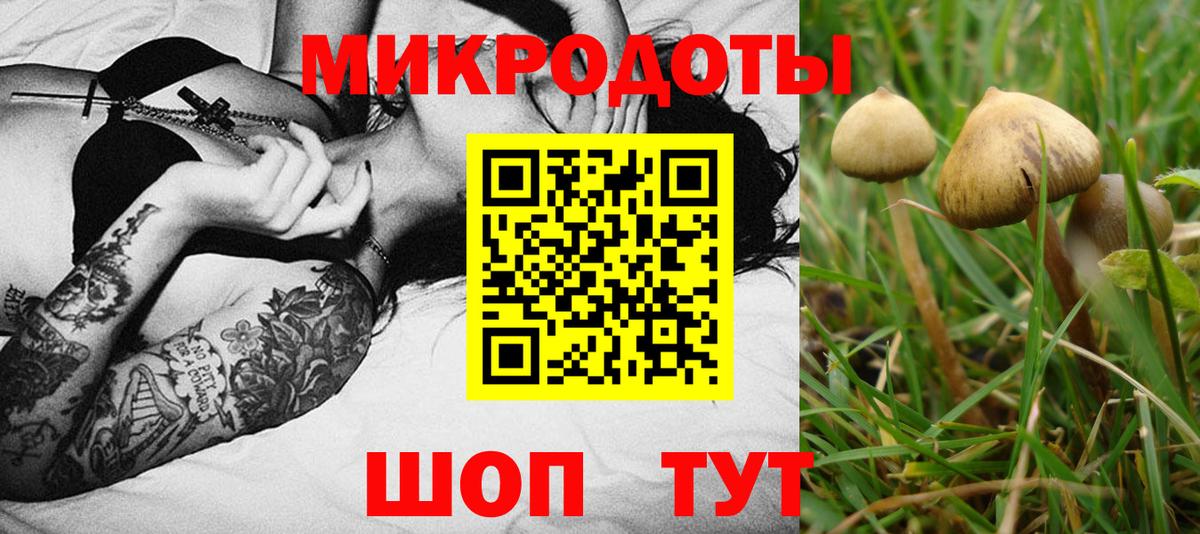 Галлюциногенные грибы Magic Shrooms  Вход с VPN  Оренбург  Псилоцибиновые грибы Cubensis 